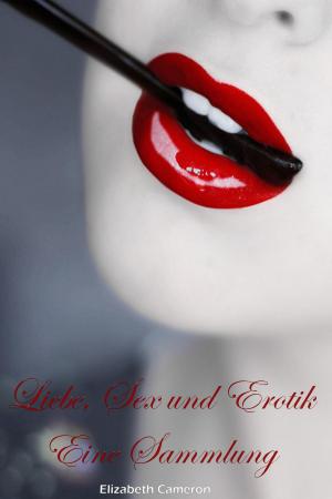 Cover of the book Liebe, Sex und Erotik - Eine Sammlung by Nadia Dantes