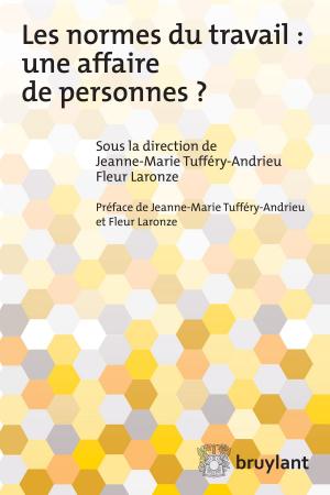 Cover of the book Les normes du travail : Une affaire de personnes? by Institut européen de l'Expertise et de l'Expert, Hans Franken