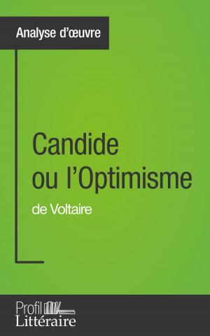 Cover of the book Candide ou l'Optimisme de Voltaire (Analyse approfondie) by Quentin de Ghellinck