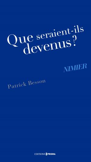 Cover of the book Que seraient-ils devenus ? Nimier by Sally Bitout