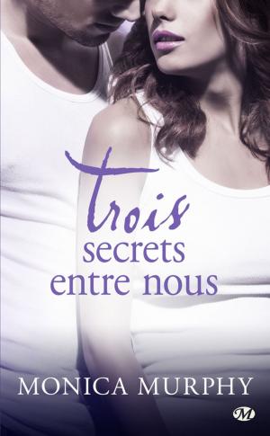 Cover of the book Trois secrets entre nous by Elizabeth Aston