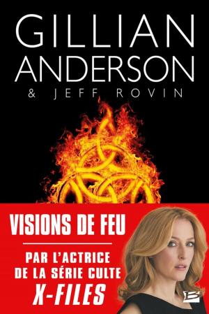 Book cover of Visions de feu