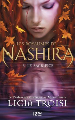 Book cover of Les royaumes de Nashira tome 3