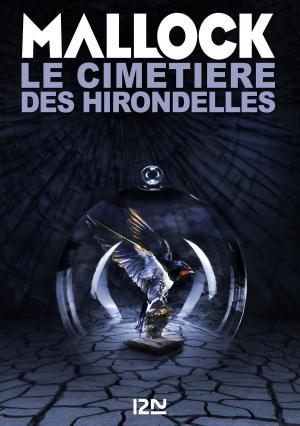 Cover of the book Le Cimetière des hirondelles by Galatée de Chaussy