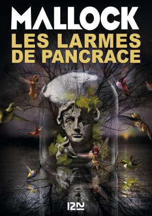 Cover of the book Les Larmes de Pancrace by Hervé JOURDAIN