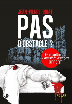 Cover of the book Pas d'obstacle ? by James Minter
