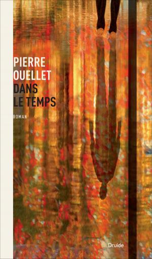Cover of the book Dans le temps by Claude Brisebois
