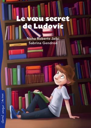 Cover of the book Le voeu secret de Ludovic by Simon Boulerice