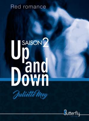 Cover of the book Up and Down by KESSILYA