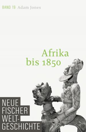 Cover of Neue Fischer Weltgeschichte. Band 19