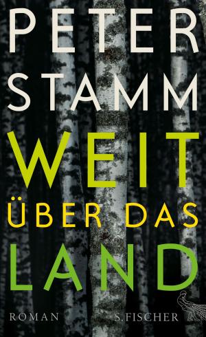 Cover of the book Weit über das Land by Claudia Rusch