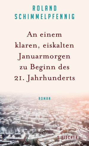 Cover of the book An einem klaren, eiskalten Januarmorgen zu Beginn des 21. Jahrhunderts by Monika Maron