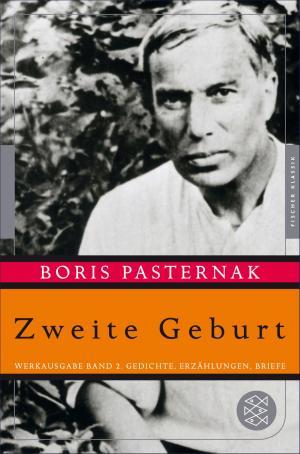 Cover of the book Zweite Geburt by Stefan Zweig, Knut Beck