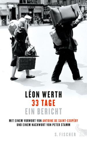 Book cover of 33 Tage
