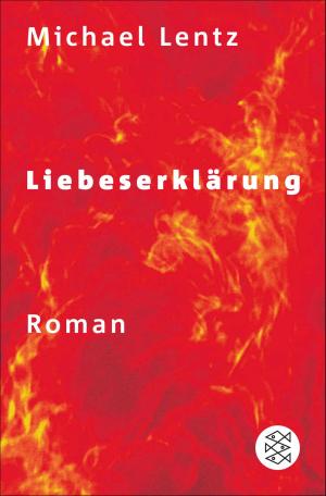 Cover of the book Liebeserklärung by Mark Sullivan
