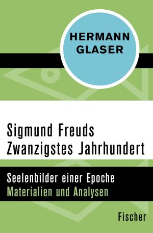 Cover of the book Sigmund Freuds Zwanzigstes Jahrhundert by Robert Lembke