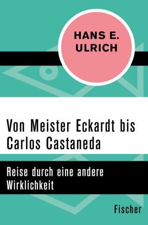 Cover of the book Von Meister Eckardt bis Carlos Castaneda by Ulrich Raulff