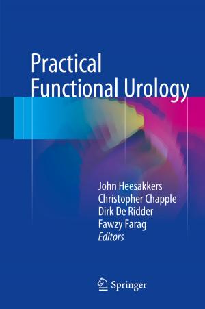 Cover of the book Practical Functional Urology by Thorsten Hens, Klaus Reiner Schenk-Hoppé, Igor V. Evstigneev