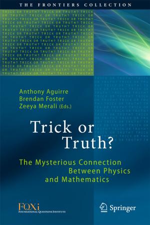 Cover of the book Trick or Truth? by Antonio Campello, Emanuele Viterbo, Jean-Claude Belfiore, Sueli I.R. Costa, Frédérique Oggier
