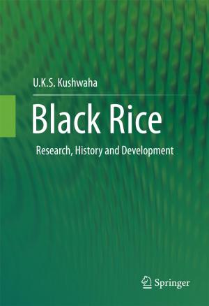 Cover of the book Black Rice by Amirhossein Vafa