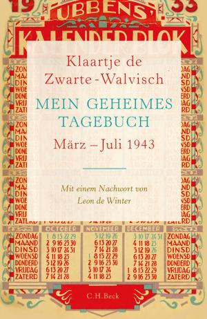 Cover of the book Mein geheimes Tagebuch by Kurt Flasch