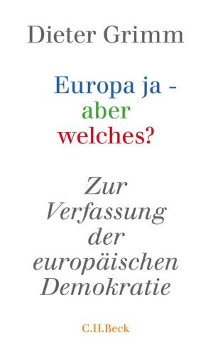 Cover of the book Europa ja - aber welches? by Daniel Schönpflug