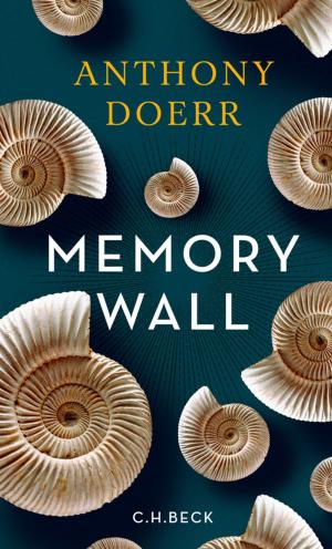 Cover of the book Memory Wall by Navid Kermani