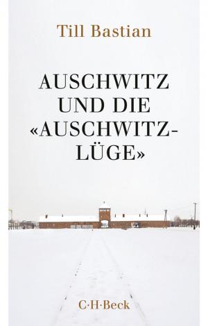 Cover of the book Auschwitz und die 'Auschwitz-Lüge' by Niklas Holzberg