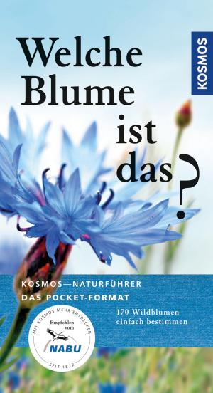 Cover of the book Welche Blume ist das? by Perdita Lübbe, Frauke Loup, Barbara Schöning