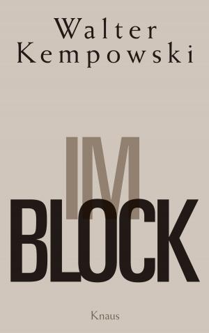 Cover of the book Im Block by Randall Munroe