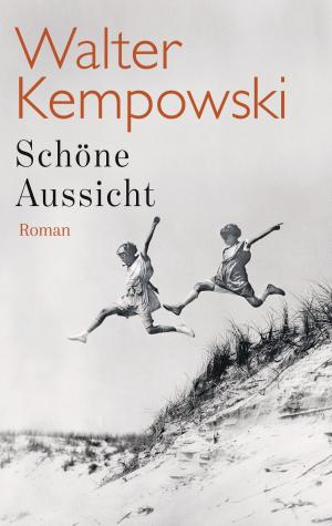 Cover of the book Schöne Aussicht by Nick Harkaway