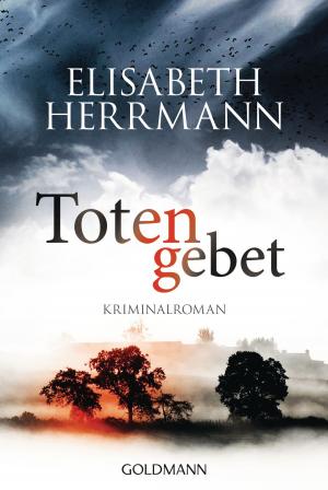 Cover of the book Totengebet by Constanze Wilken