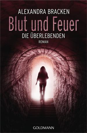 Cover of the book Blut und Feuer by Beate Sauer