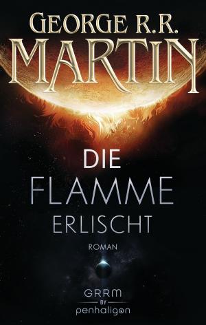 Book cover of Die Flamme erlischt