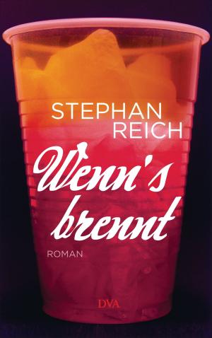 Cover of the book Wenn's brennt by Anne Enright