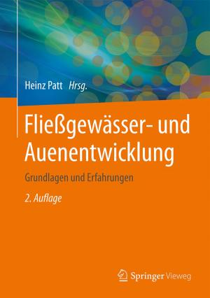 Cover of the book Fließgewässer- und Auenentwicklung by Sebastian Koltzenburg, Michael Maskos, Oskar Nuyken, Rolf Mülhaupt