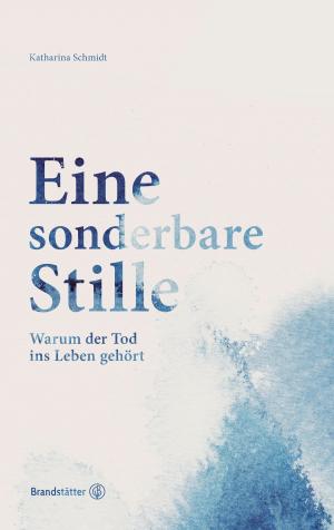 Cover of the book Eine sonderbare Stille by Ewald Plachutta, Mario Plachutta