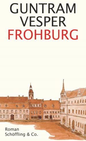 Cover of the book Frohburg by Mirko Bonné