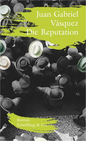 Cover of the book Die Reputation by Burkhard Spinnen, Anastasiya Nesterova