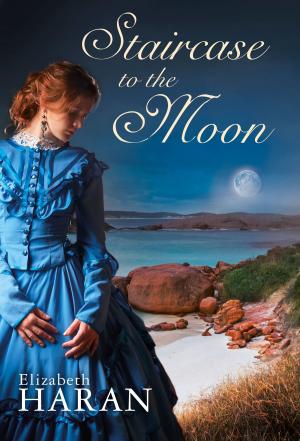 Cover of the book Staircase to the Moon by Linda Budinger, Peter Mennigen, Mara Laue