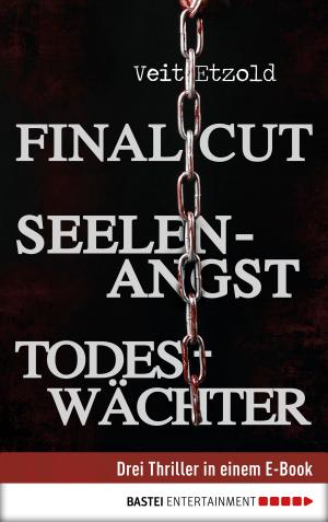 Cover of the book Final Cut, Seelenangst, Todeswächter by Stefan Frank