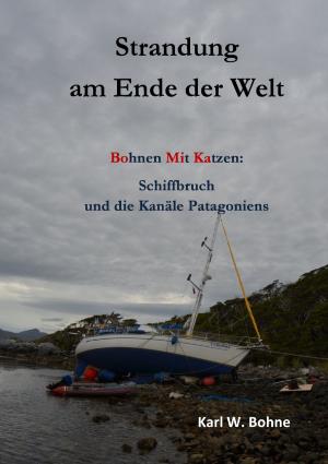Cover of the book Strandung am Ende der Welt by Bärbel Thetmeyer