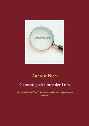 Cover of the book Gerechtigkeit unter der Lupe by Dirk Hardy