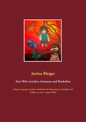 Cover of the book Eine Welt zwischen Autismus und Borderline by Florian Horn