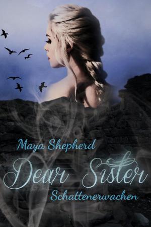 Cover of the book Dear Sister 1 - Schattenerwachen by Andy Clapp, Christoph Buchfink