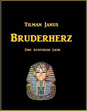 Cover of the book Bruderherz by Heike Noll