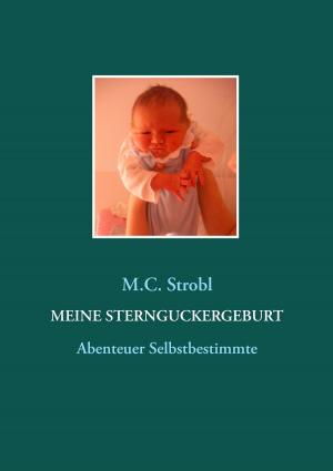 Cover of the book Meine Sternguckergeburt by Wolfgang Wimmer