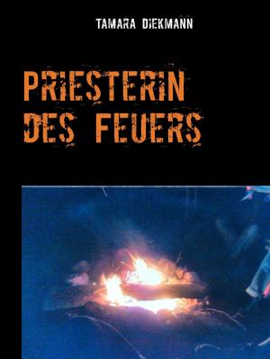Cover of the book Priesterin des Feuers by James Swallow