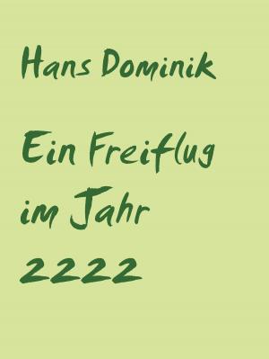 Cover of the book Ein Freiflug im Jahr 2222 by Erik Müller-Schoppen