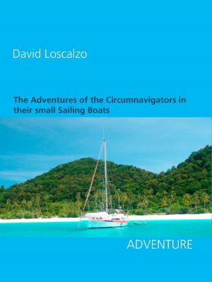 Cover of the book The Adventures of the Circumnavigators in their small Sailing Boats by Kurt Tepperwein, Felix Aeschbacher